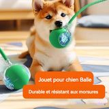 Balle jouet pour chien ou chat,  balle rebondissante autonome .
