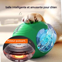 Balle jouet pour chien ou chat,  balle rebondissante autonome .