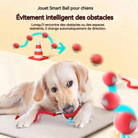 Balle jouet pour chien ou chat,  balle rebondissante autonome .
