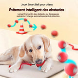 Balle jouet pour chien ou chat,  balle rebondissante autonome .