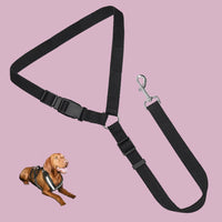 Ceinture de sécurité voiture pour chien
