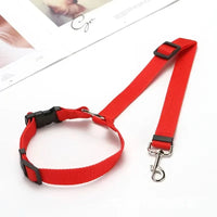 Ceinture de sécurité voiture pour chien