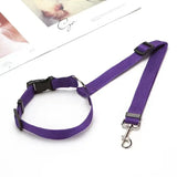 Ceinture de sécurité voiture pour chien