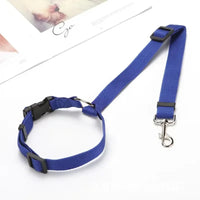 Ceinture de sécurité voiture pour chien