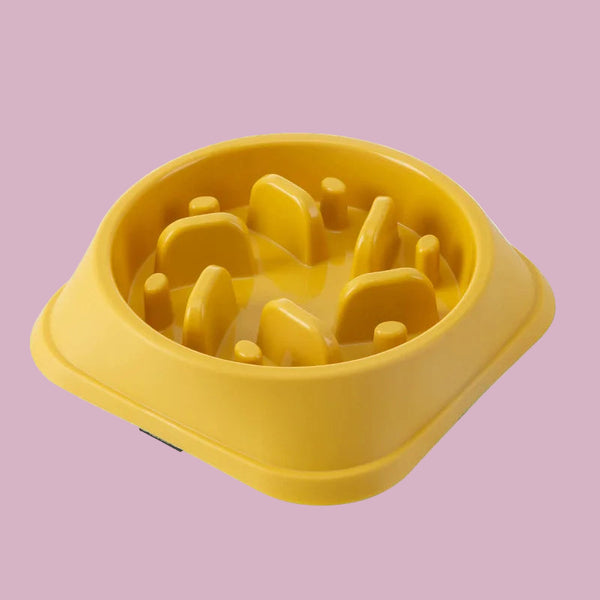 Bol de nourriture anti glouton . Pour chien ou chat .