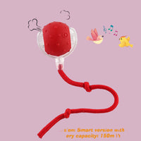 Balle jouet pour chien ou chat,  balle rebondissante autonome .