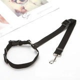 Ceinture de sécurité voiture pour chien