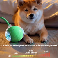 Balle jouet pour chien ou chat,  balle rebondissante autonome .