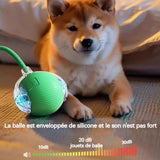 Balle jouet pour chien ou chat,  balle rebondissante autonome .