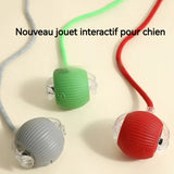 Balle jouet pour chien ou chat,  balle rebondissante autonome .