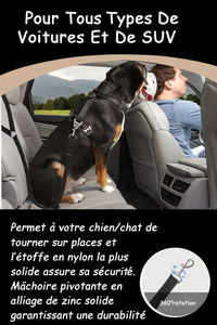 Ceinture de sécurité voiture pour chien