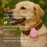 PetTrack™ - Traceur GPS intelligent pour animaux