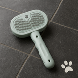 SteamBrush™ - Brosse de massage vapeur